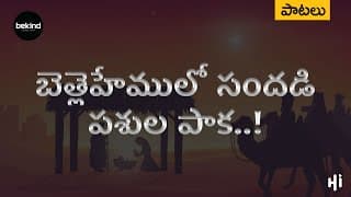 బెత్లెహేములో సందడి పశుల పాకలో video