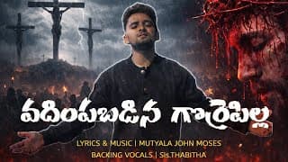 వదింపబడిన గొర్రెపిల్ల video